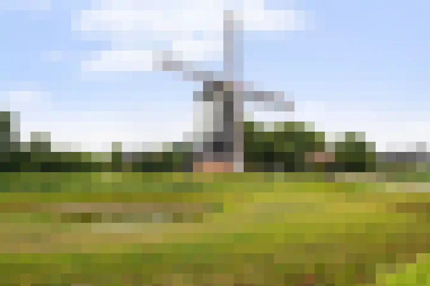 Villa Dotterbloem 25 Waalwijk thumbnail 57