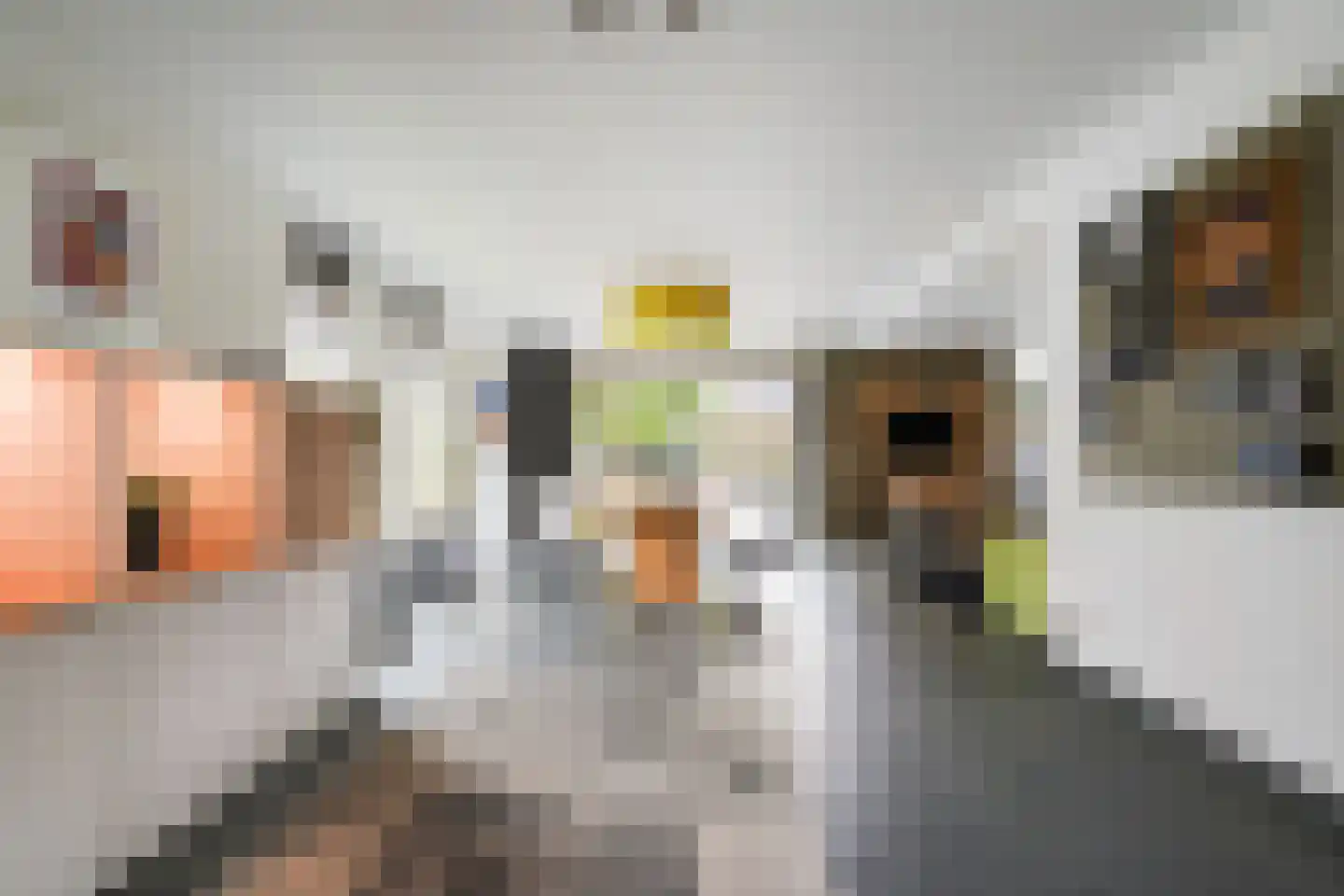 Villa Dotterbloem 25 Waalwijk thumbnail 7