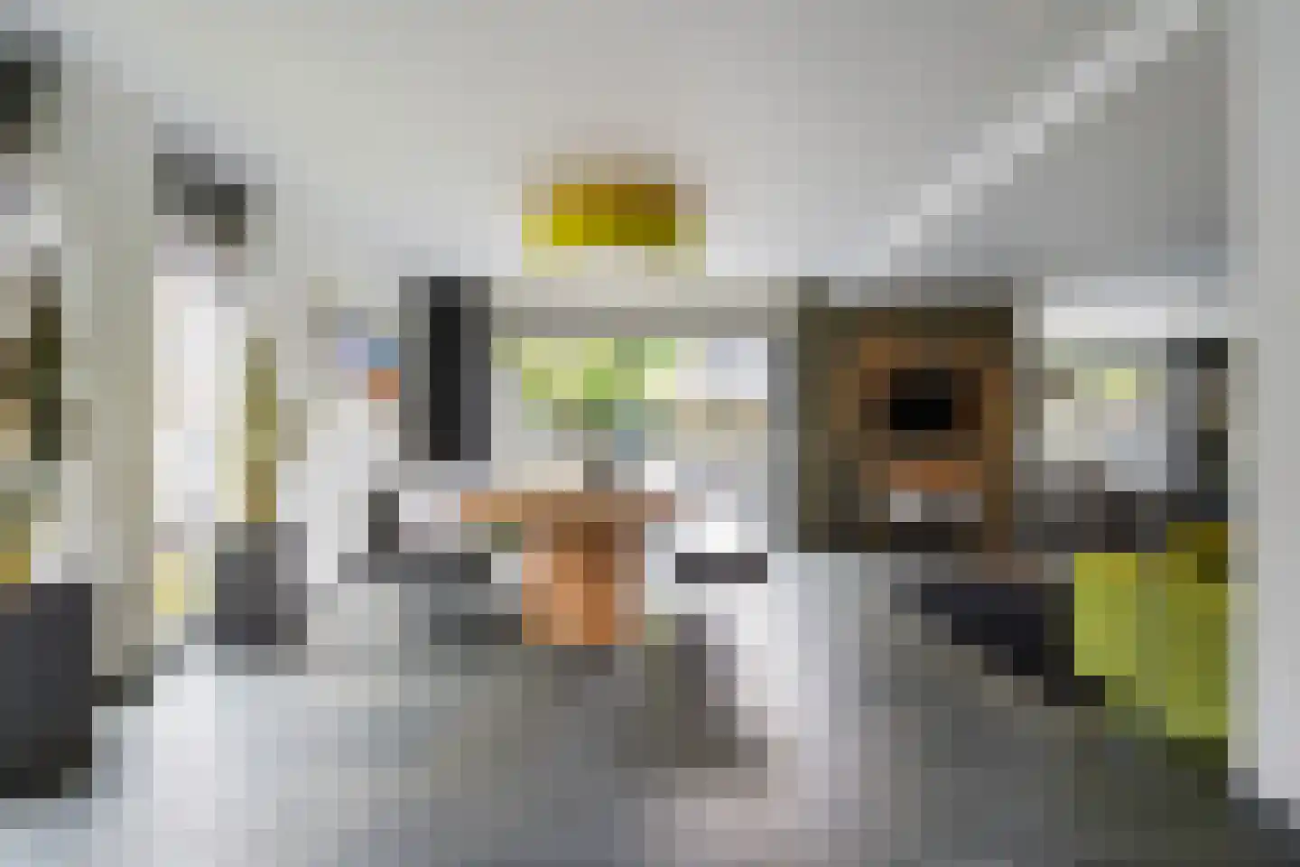 Villa Dotterbloem 25 Waalwijk thumbnail 8