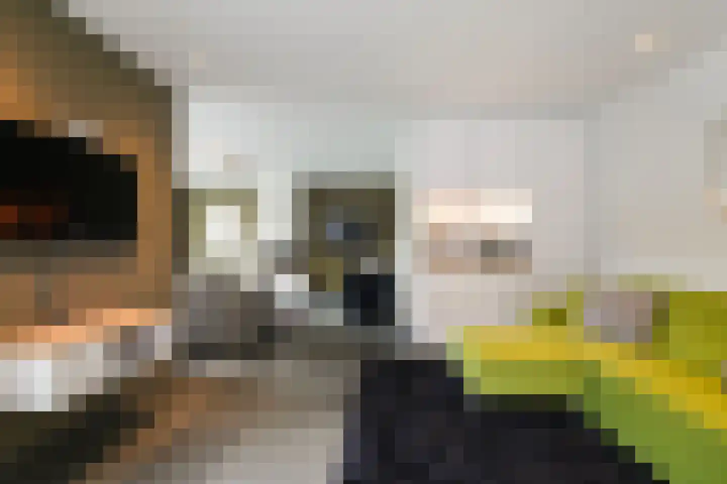 Villa Dotterbloem 25 Waalwijk thumbnail 9