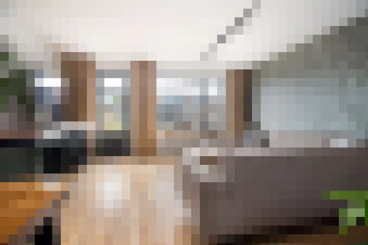 Villa Dotterbloem 26 Waalwijk thumbnail 14