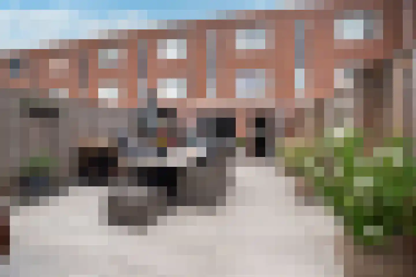 Villa Dotterbloem 26 Waalwijk thumbnail 21