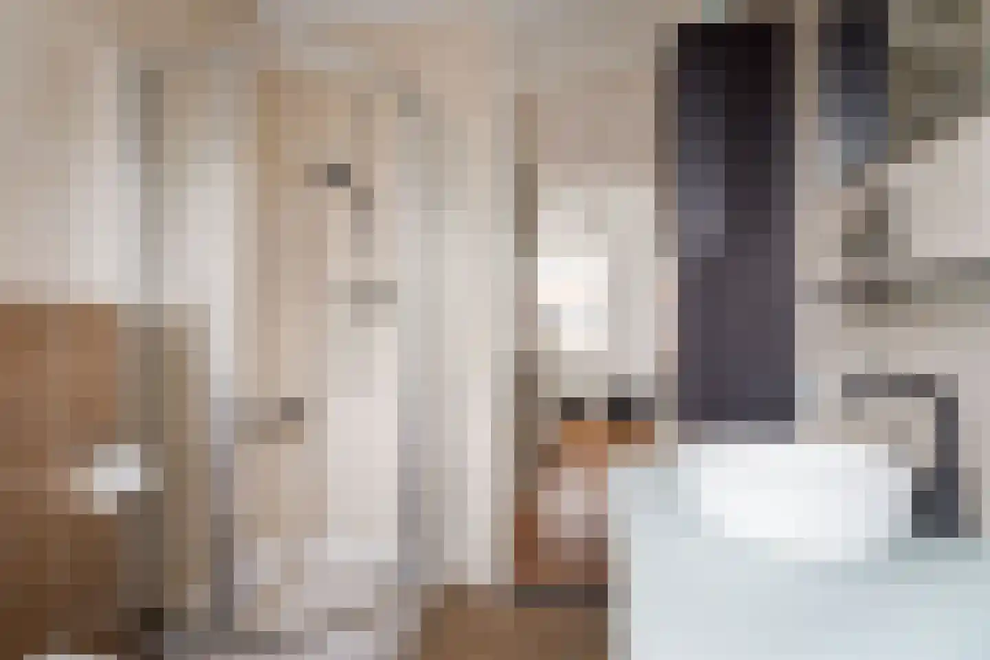 Villa Dotterbloem 26 Waalwijk thumbnail 28