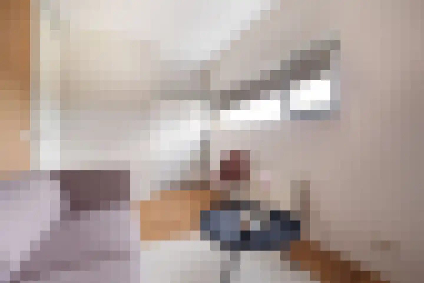 Villa Dotterbloem 26 Waalwijk thumbnail 30