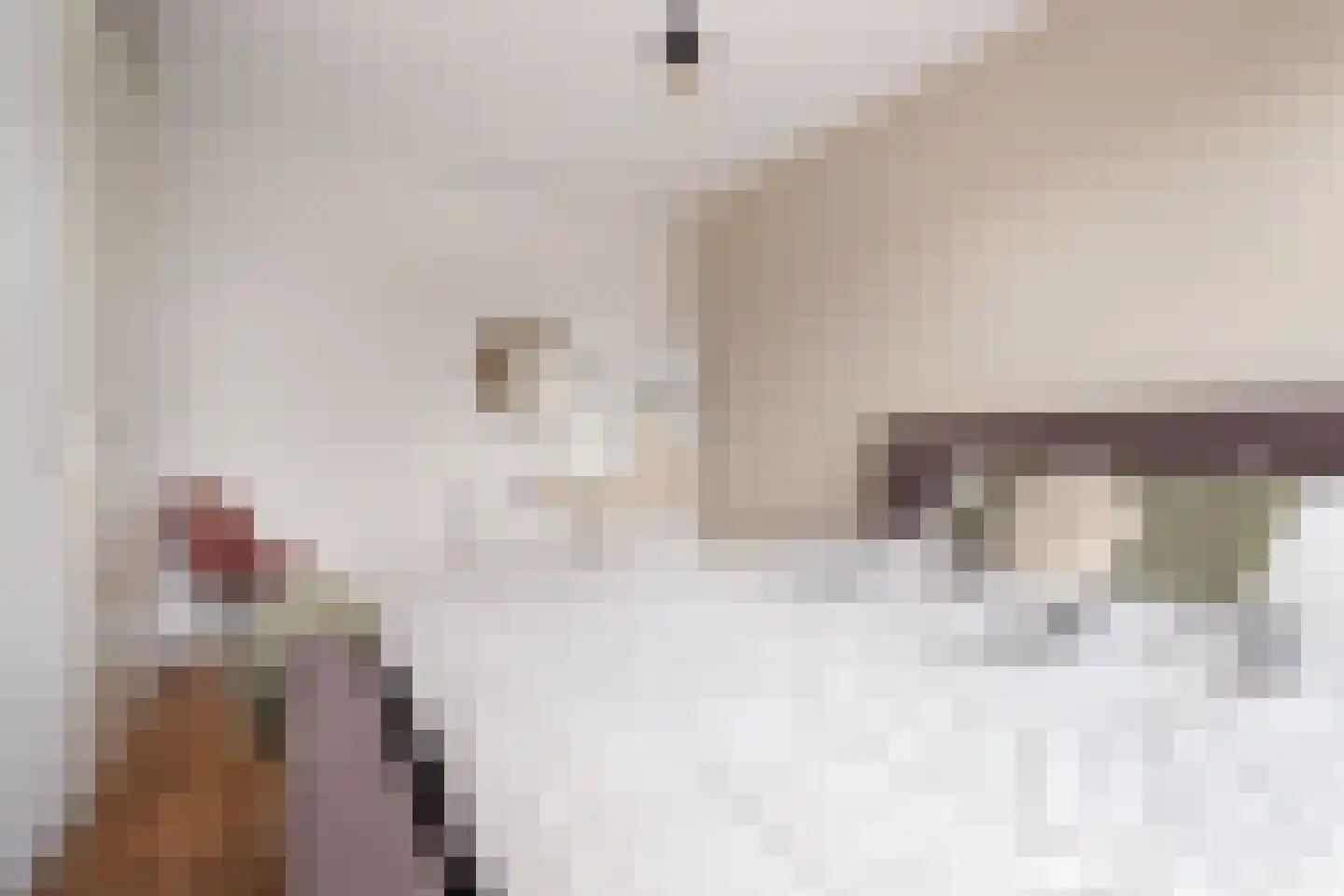 Villa Dotterbloem 26 Waalwijk thumbnail 32