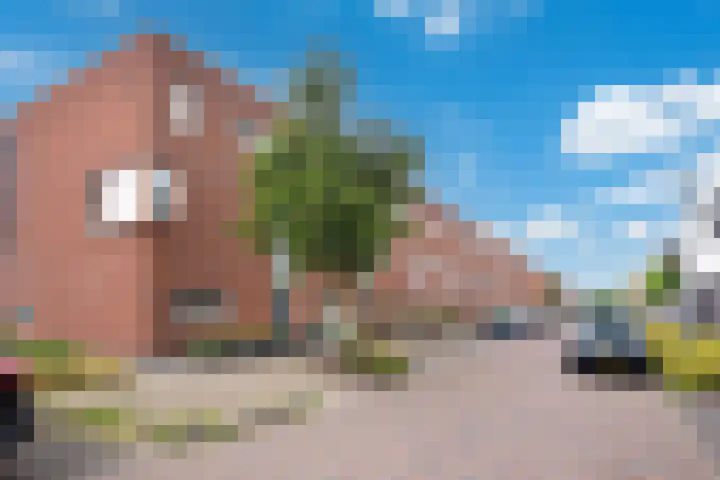 Villa Dotterbloem 26 Waalwijk thumbnail 5