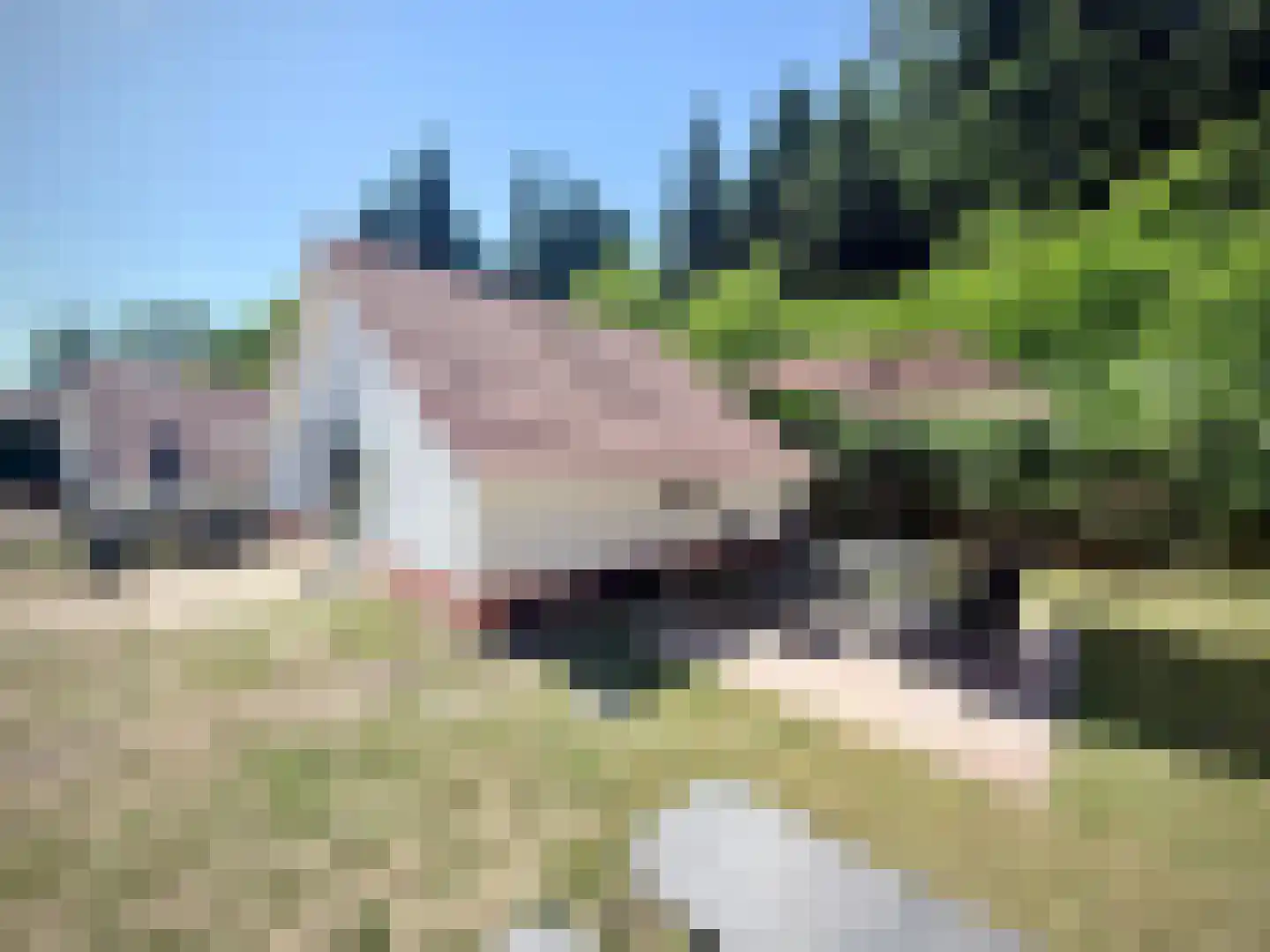 Villa Dotterbloem 30 Waalwijk thumbnail 13