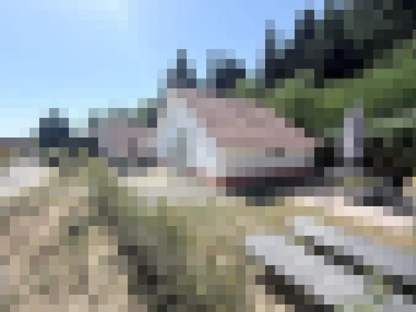 Villa Dotterbloem 30 Waalwijk thumbnail 15