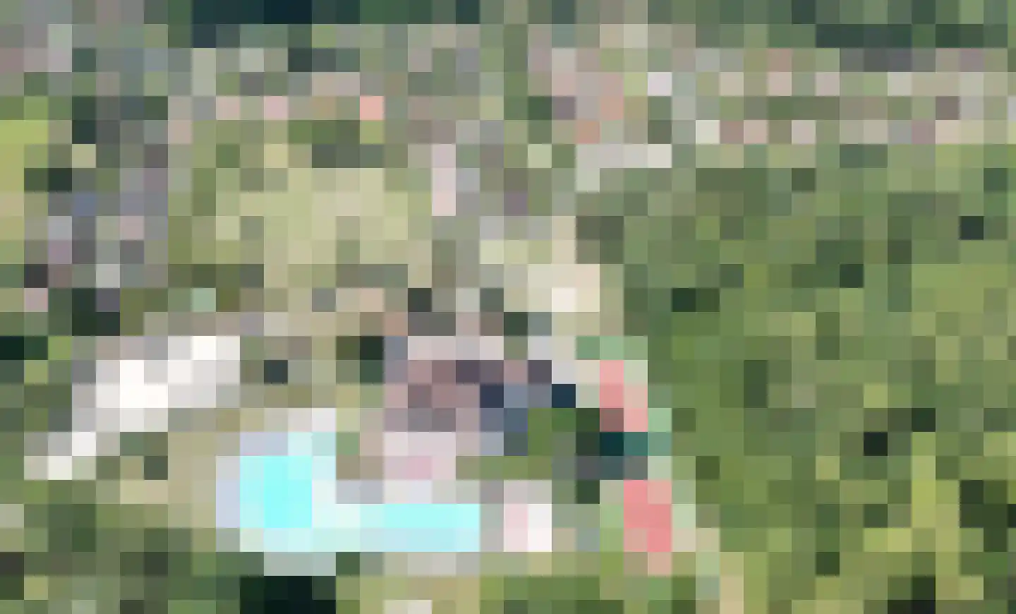 Villa Dotterbloem 30 Waalwijk thumbnail 18