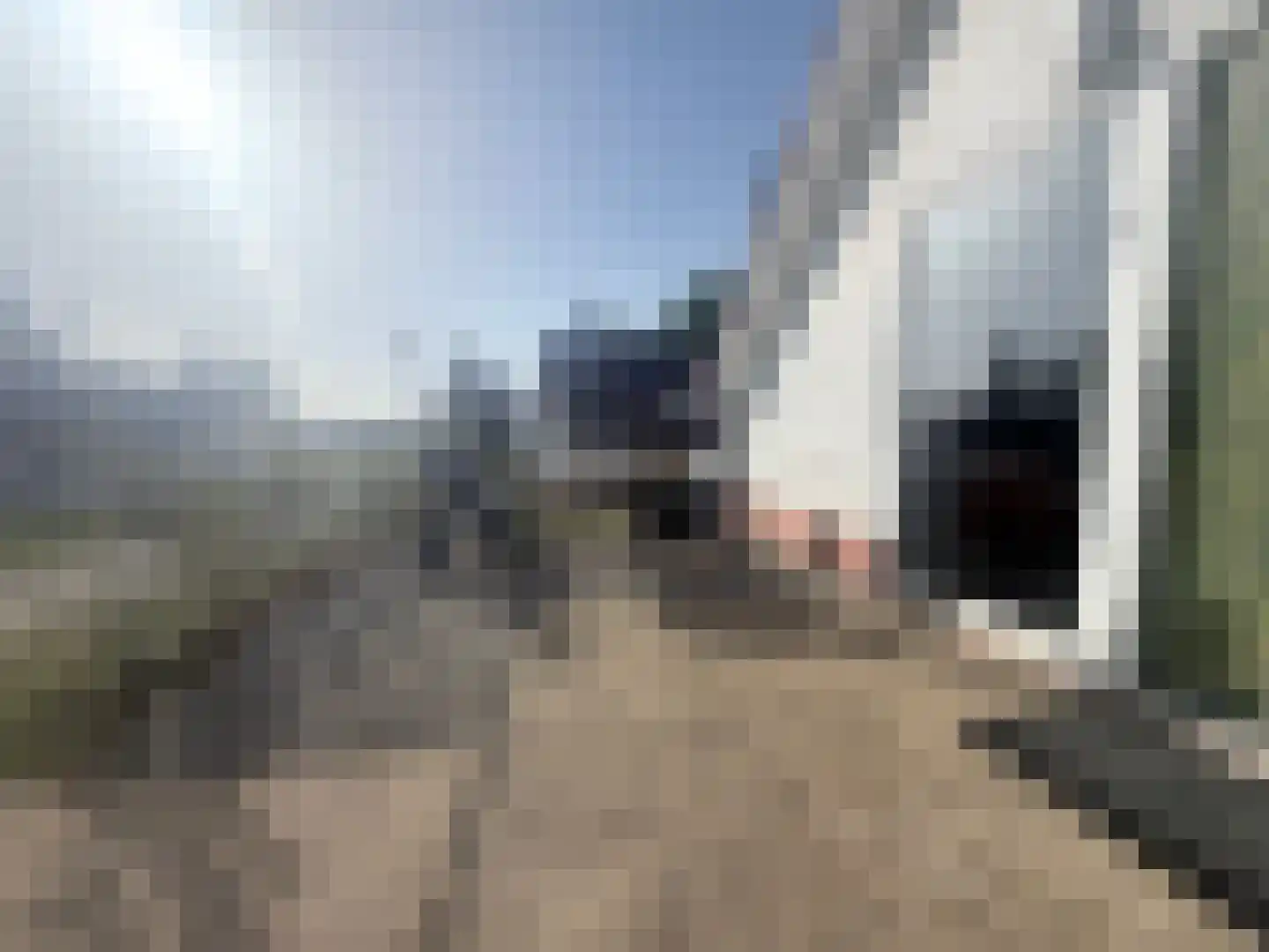 Villa Dotterbloem 30 Waalwijk thumbnail 18