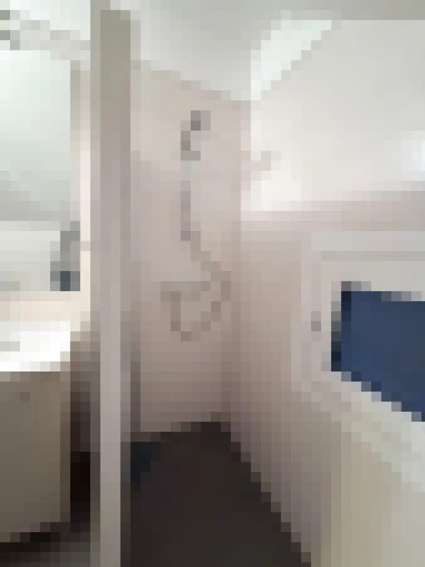 Villa Dotterbloem 30 Waalwijk thumbnail 9