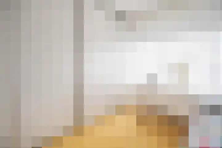 Villa Dotterbloem 31 Waalwijk thumbnail 13