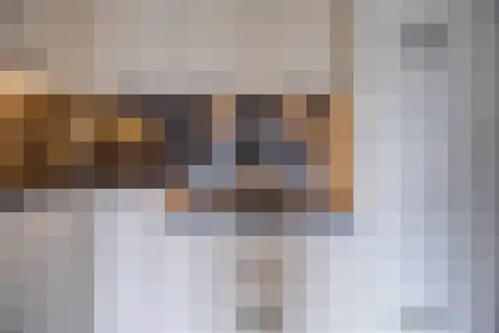 Villa Dotterbloem 31 Waalwijk thumbnail 16