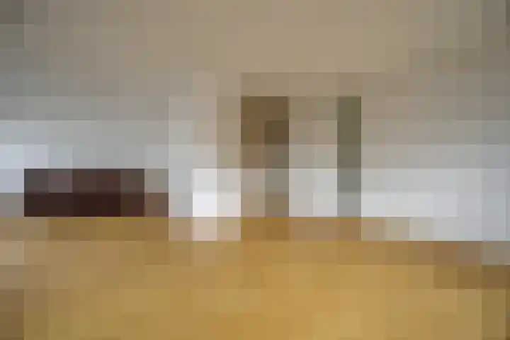 Villa Dotterbloem 31 Waalwijk thumbnail 20