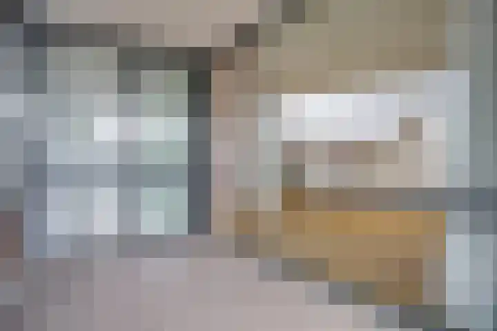 Villa Dotterbloem 31 Waalwijk thumbnail 23