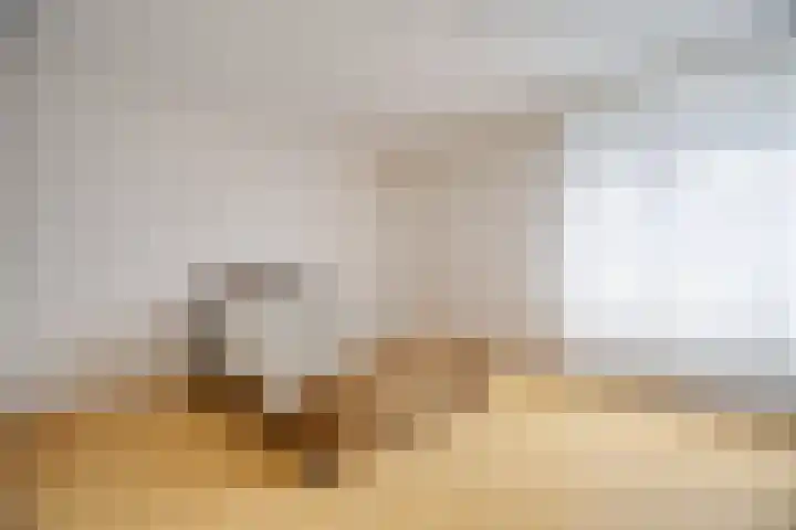 Villa Dotterbloem 31 Waalwijk thumbnail 5