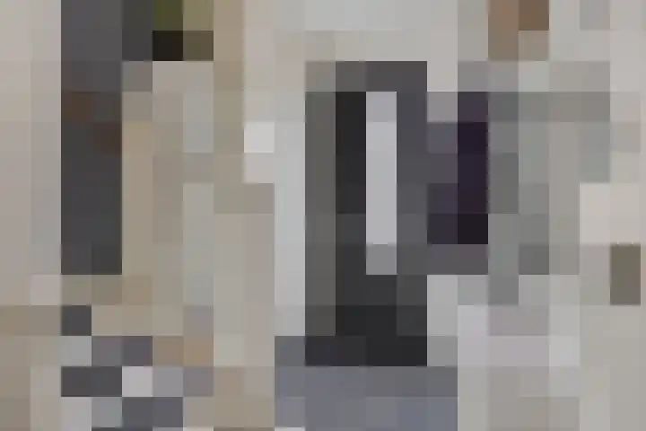 Villa Dotterbloem 34 Waalwijk thumbnail 5