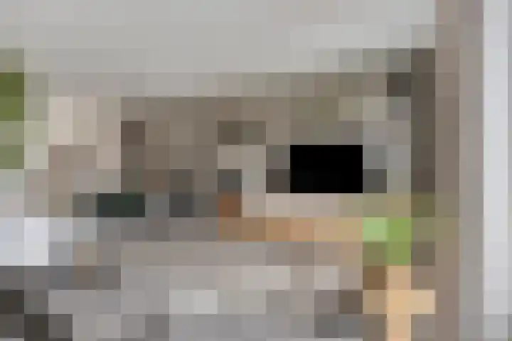 Villa Dotterbloem 34 Waalwijk thumbnail 8