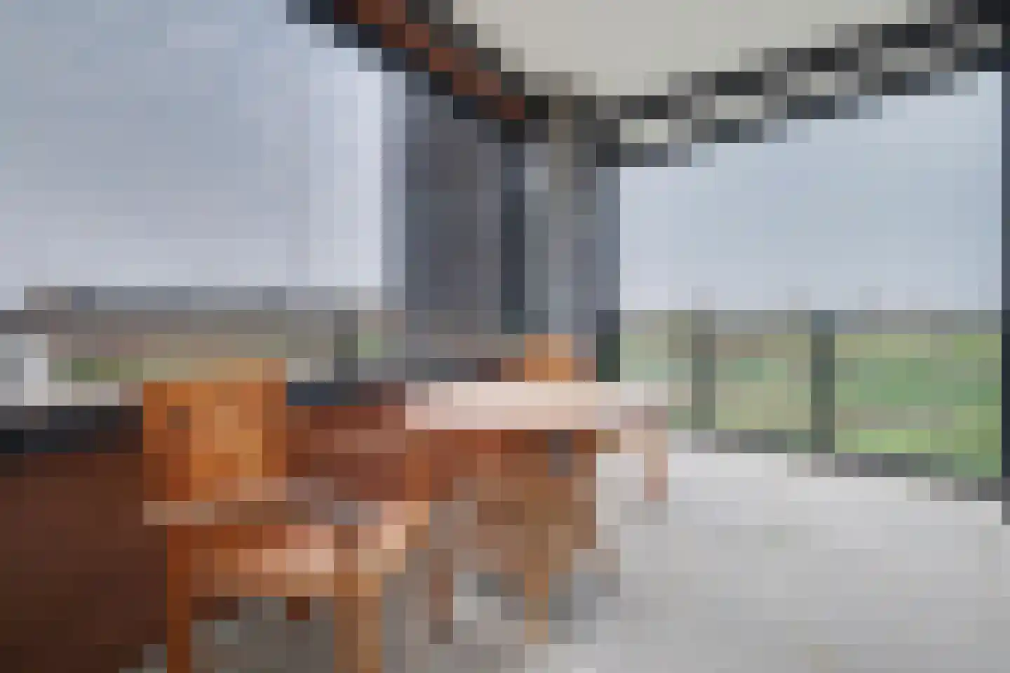 Villa Dotterbloem 41 Waalwijk thumbnail 18