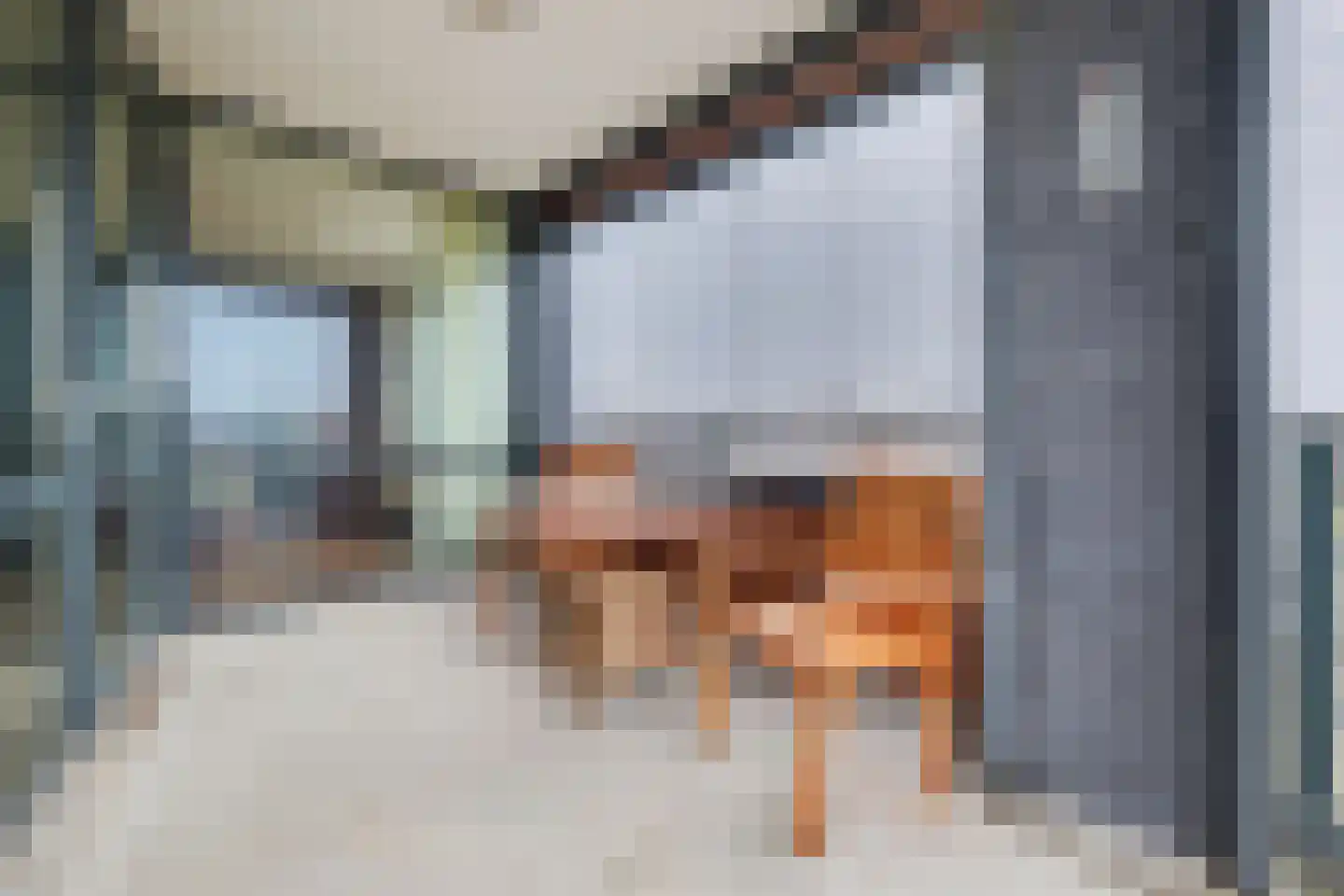 Villa Dotterbloem 41 Waalwijk thumbnail 20