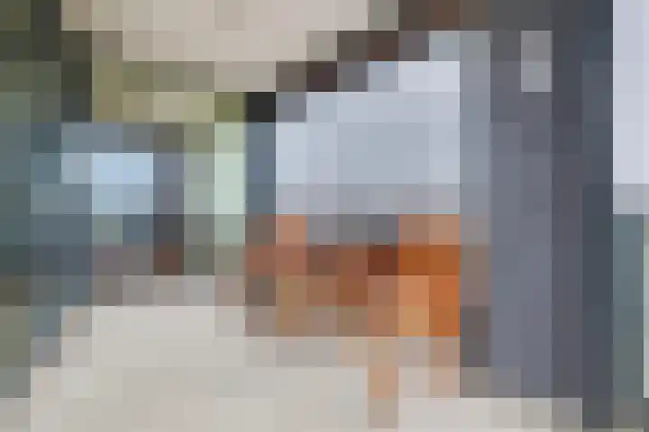 Villa Dotterbloem 41 Waalwijk thumbnail 20