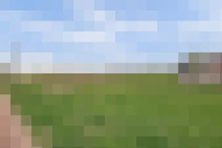 Villa Dotterbloem 41 Waalwijk thumbnail 33