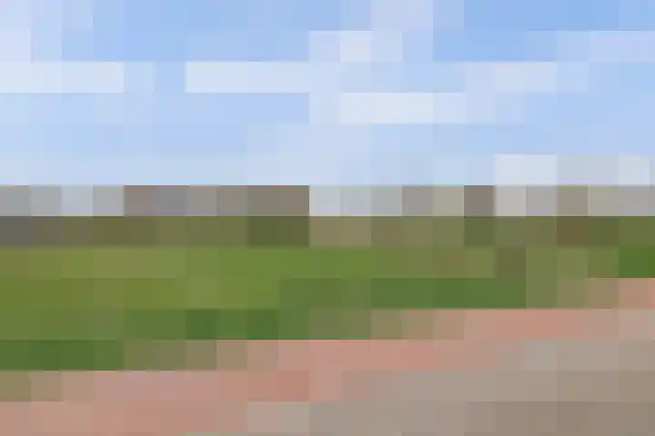 Villa Dotterbloem 41 Waalwijk thumbnail 34