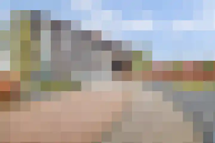 Villa Dotterbloem 41 Waalwijk thumbnail 35
