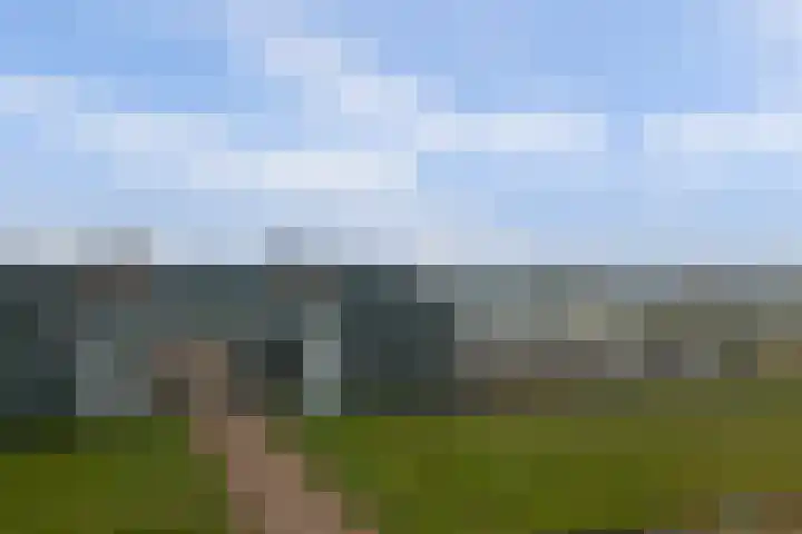 Villa Dotterbloem 41 Waalwijk thumbnail 36