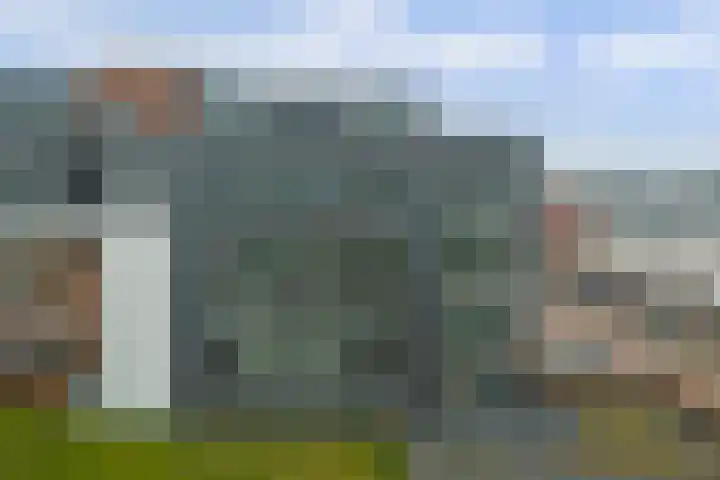 Villa Dotterbloem 41 Waalwijk thumbnail 37