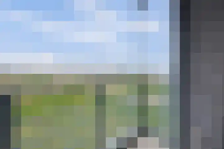 Villa Dotterbloem 41 Waalwijk thumbnail 4
