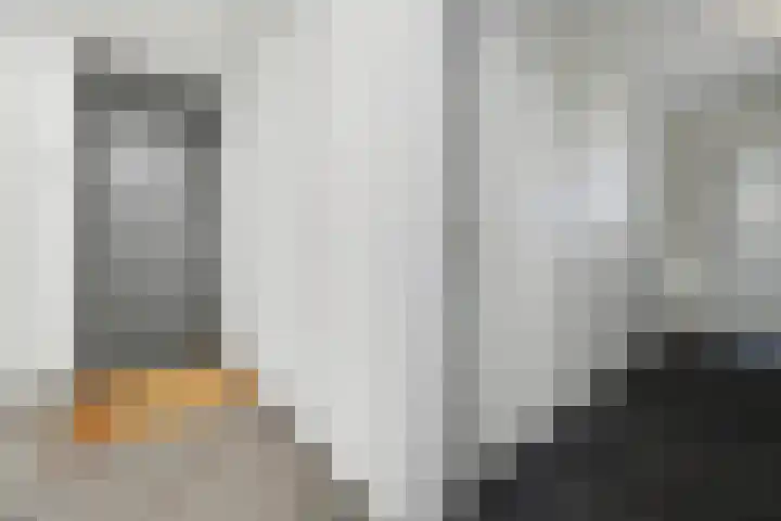 Villa Dotterbloem 41 Waalwijk thumbnail 40