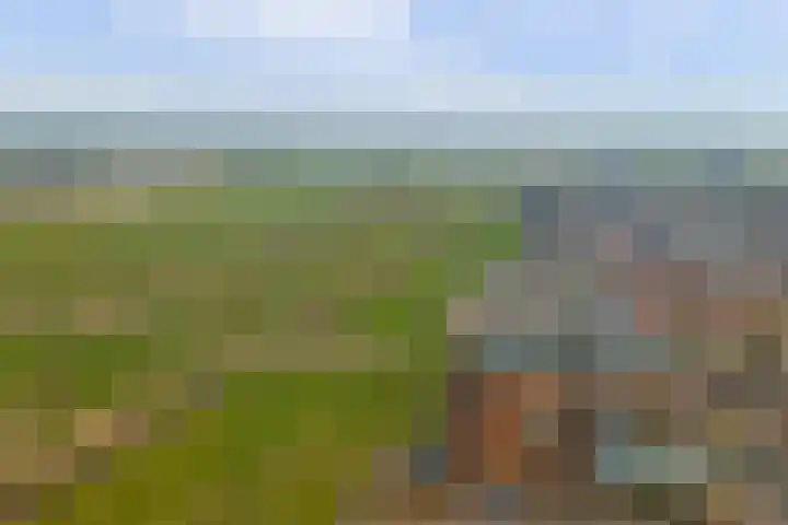 Villa Dotterbloem 41 Waalwijk thumbnail 43