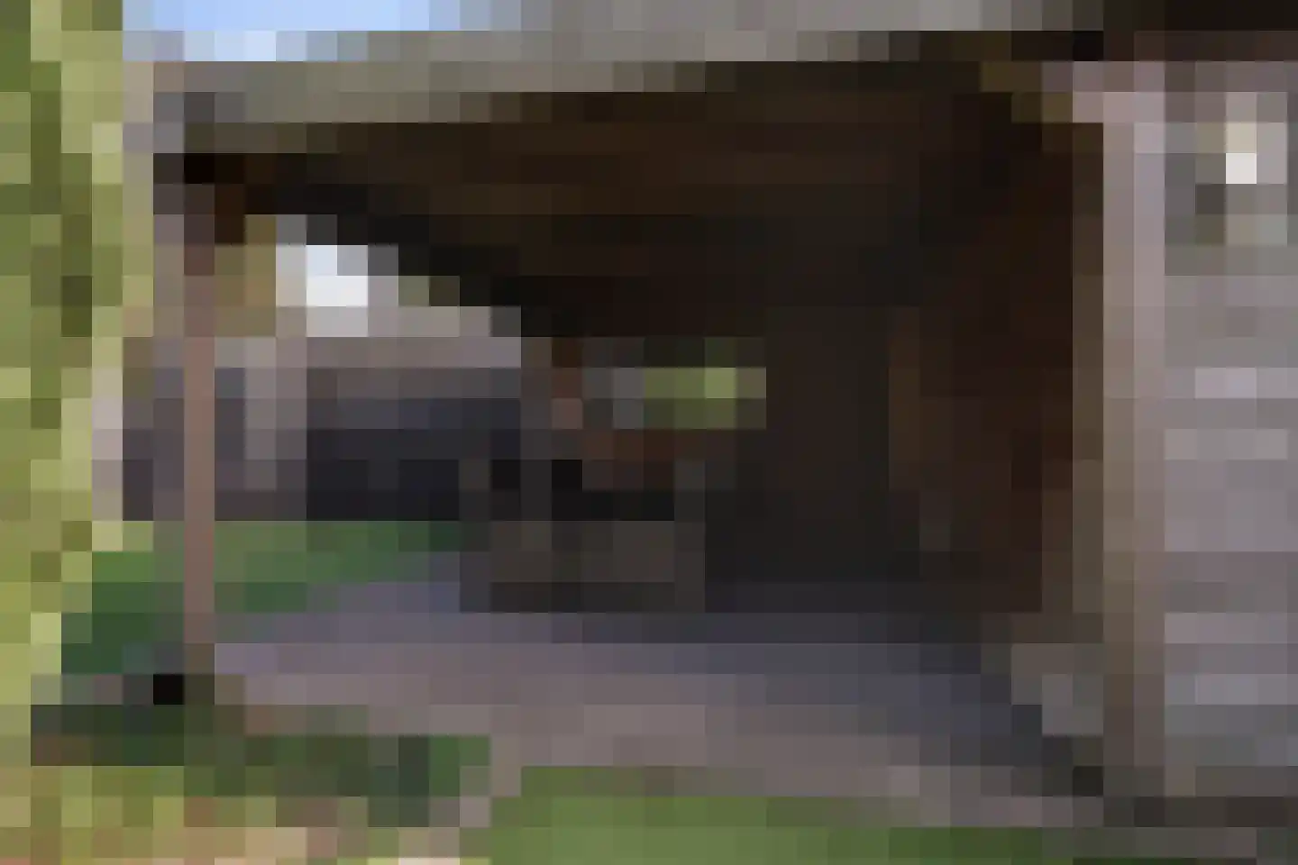 Villa Fonteinkruid 16 Waalwijk thumbnail 40