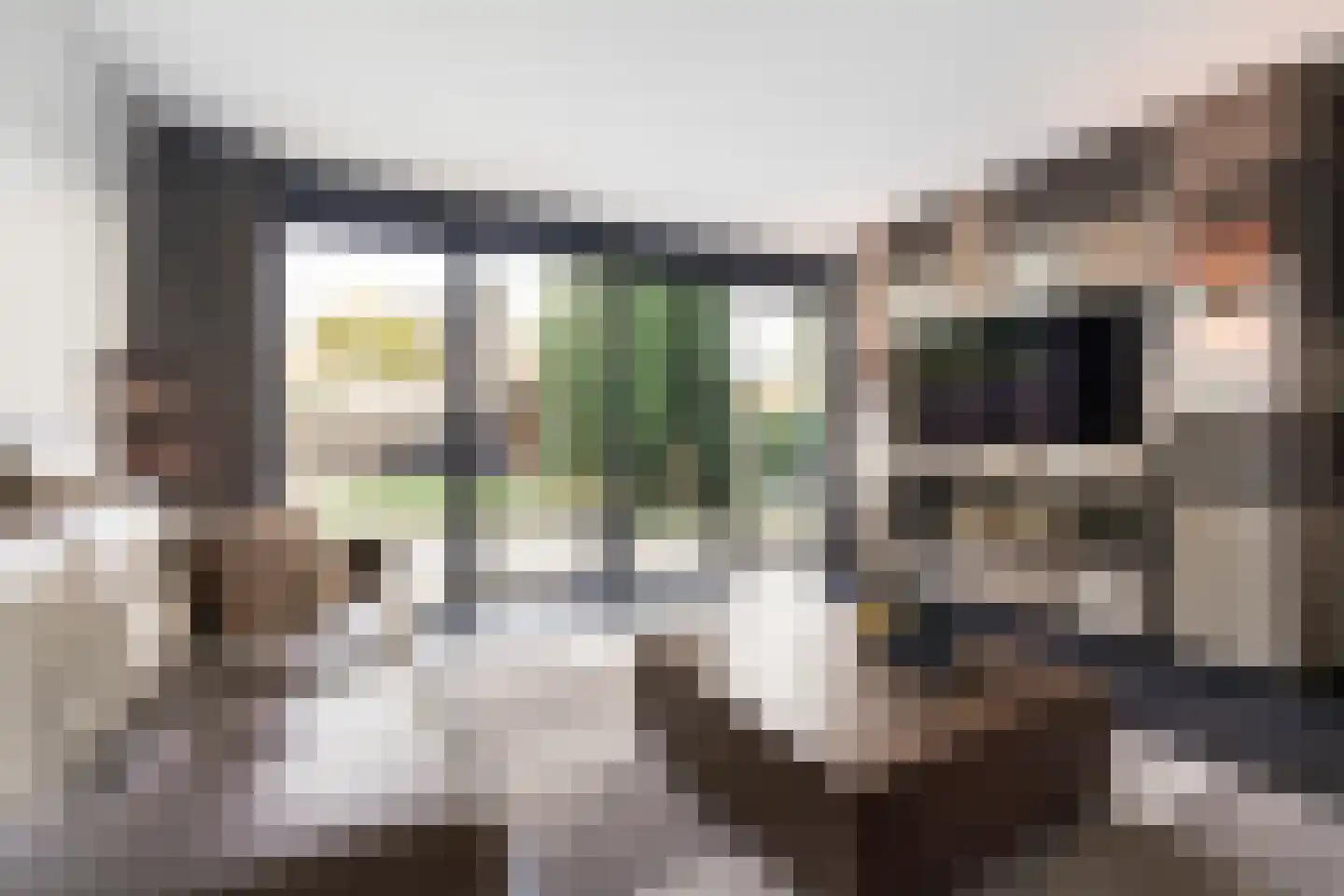 Villa Fonteinkruid 16 Waalwijk thumbnail 9