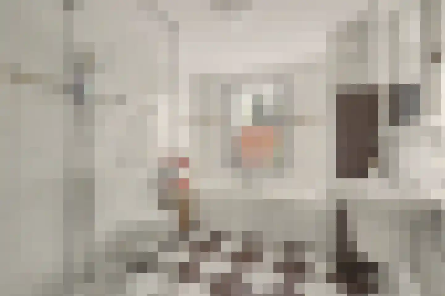 Villa Fonteinkruid 17 Waalwijk thumbnail 4