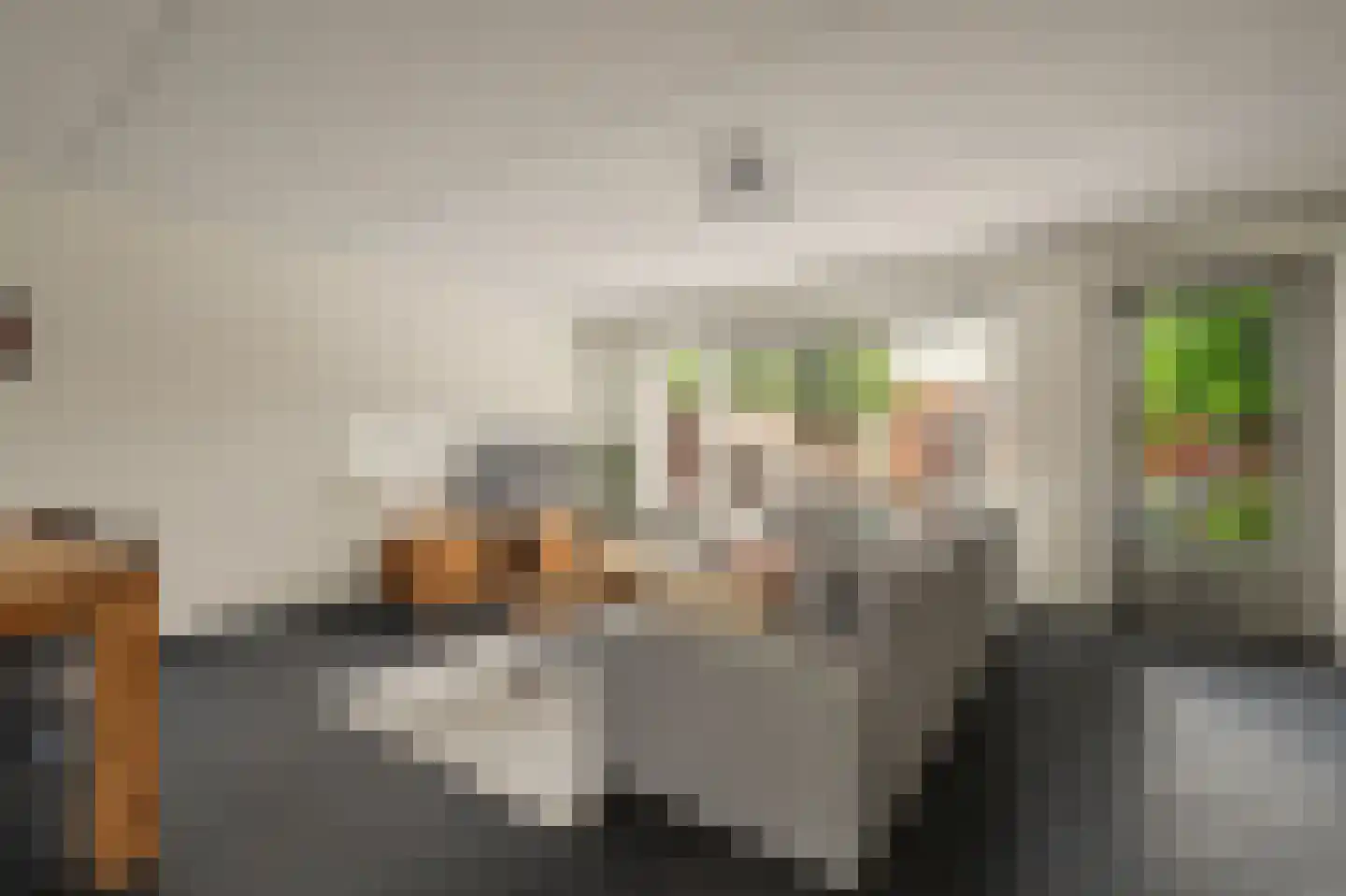 Villa Fonteinkruid 17 Waalwijk thumbnail 8