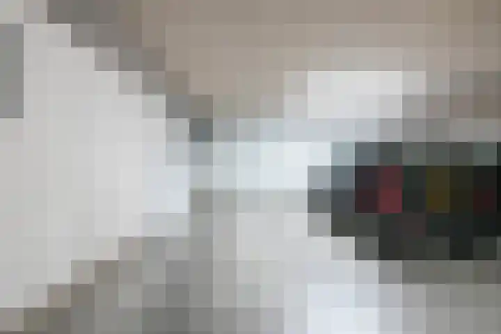 Villa Fonteinkruid 26 Waalwijk thumbnail 17