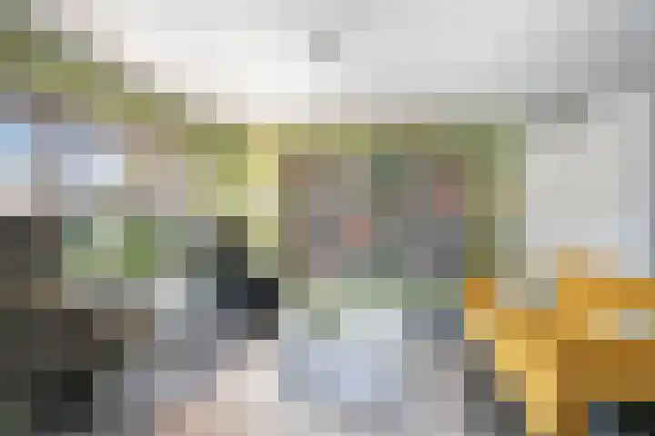 Villa Fonteinkruid 26 Waalwijk thumbnail 7