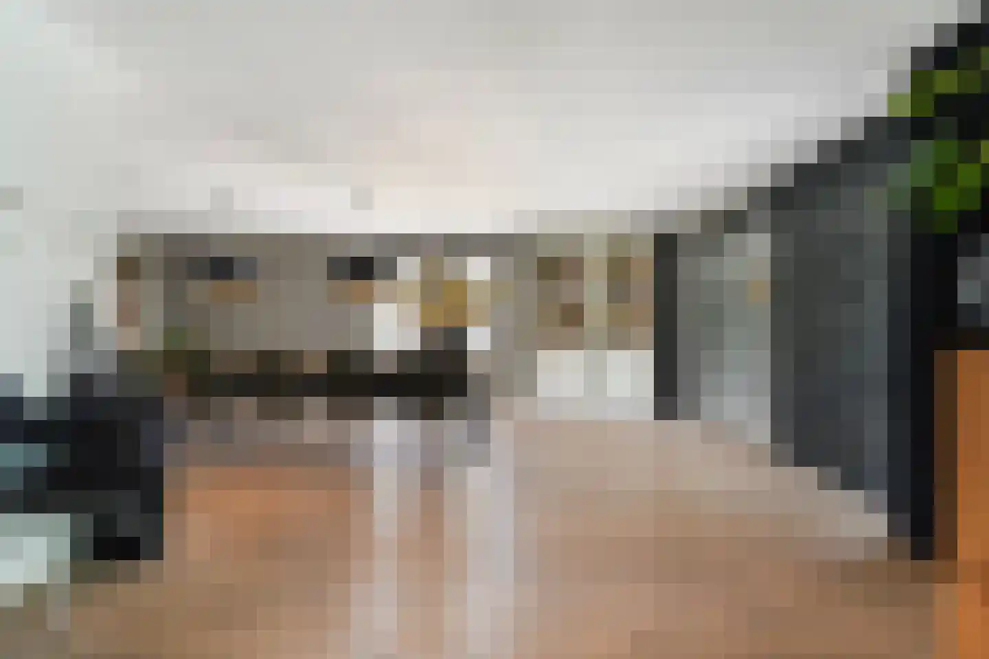 Villa Fonteinkruid 4 Waalwijk thumbnail 13