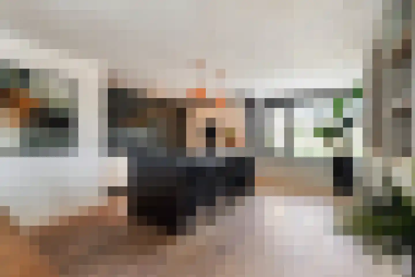 Villa Fonteinkruid 4 Waalwijk thumbnail 15