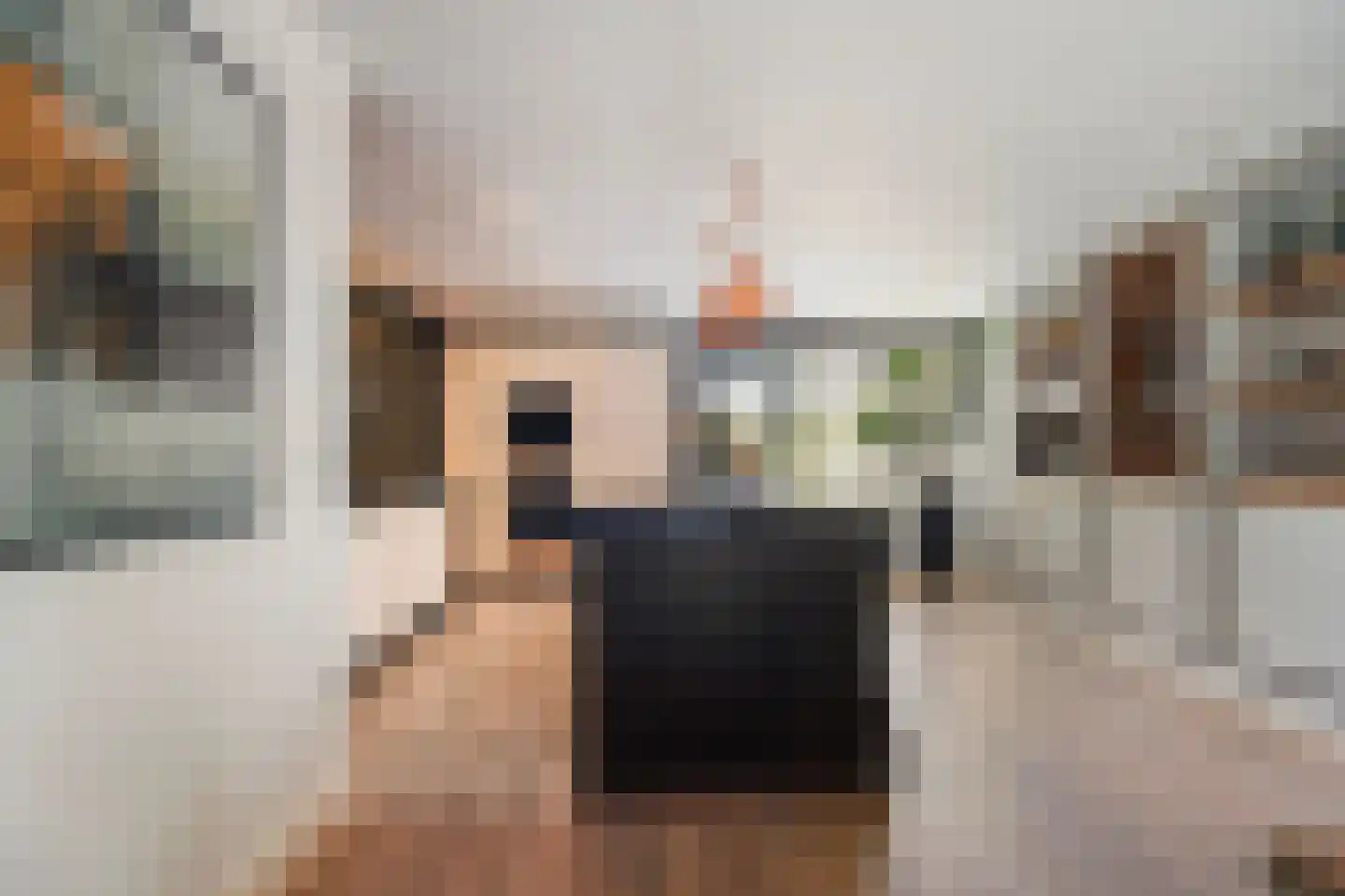 Villa Fonteinkruid 4 Waalwijk thumbnail 16