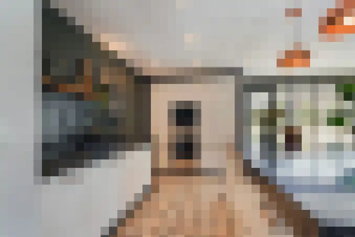 Villa Fonteinkruid 4 Waalwijk thumbnail 18