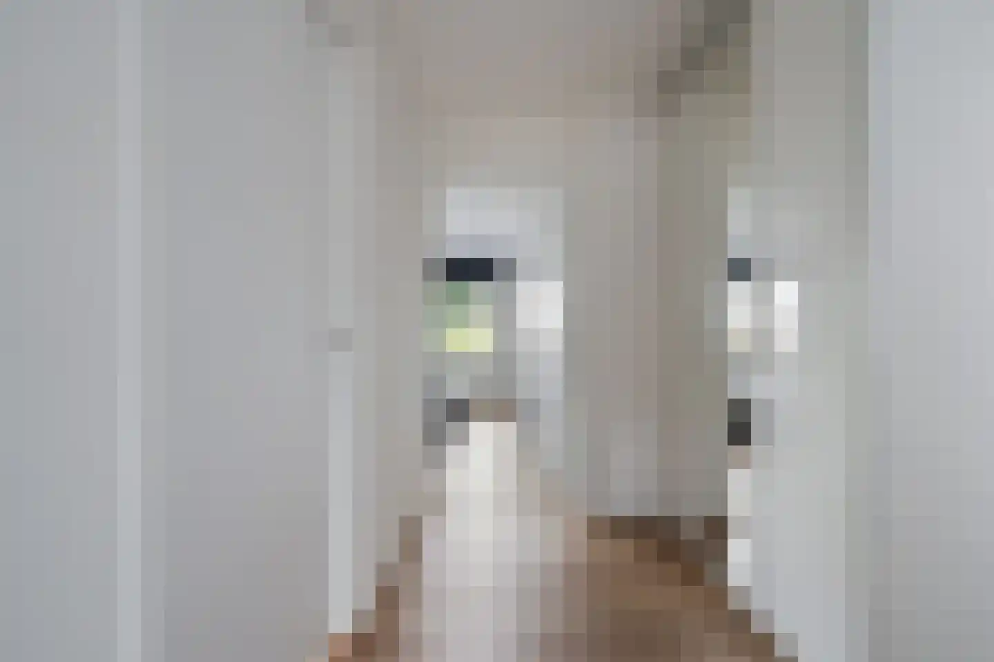 Villa Fonteinkruid 4 Waalwijk thumbnail 27