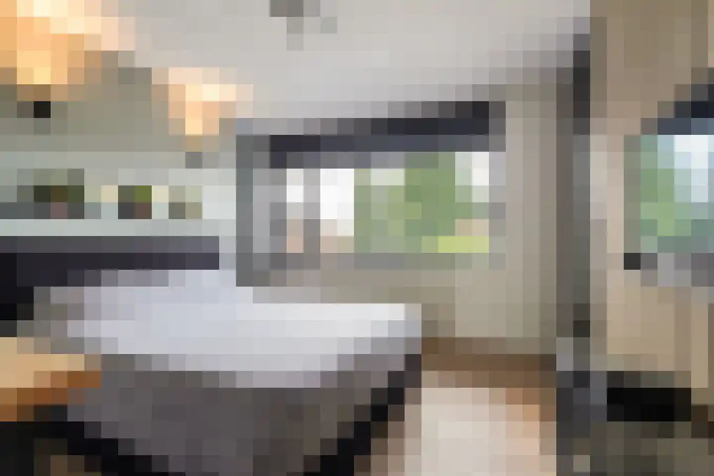 Villa Fonteinkruid 4 Waalwijk thumbnail 28