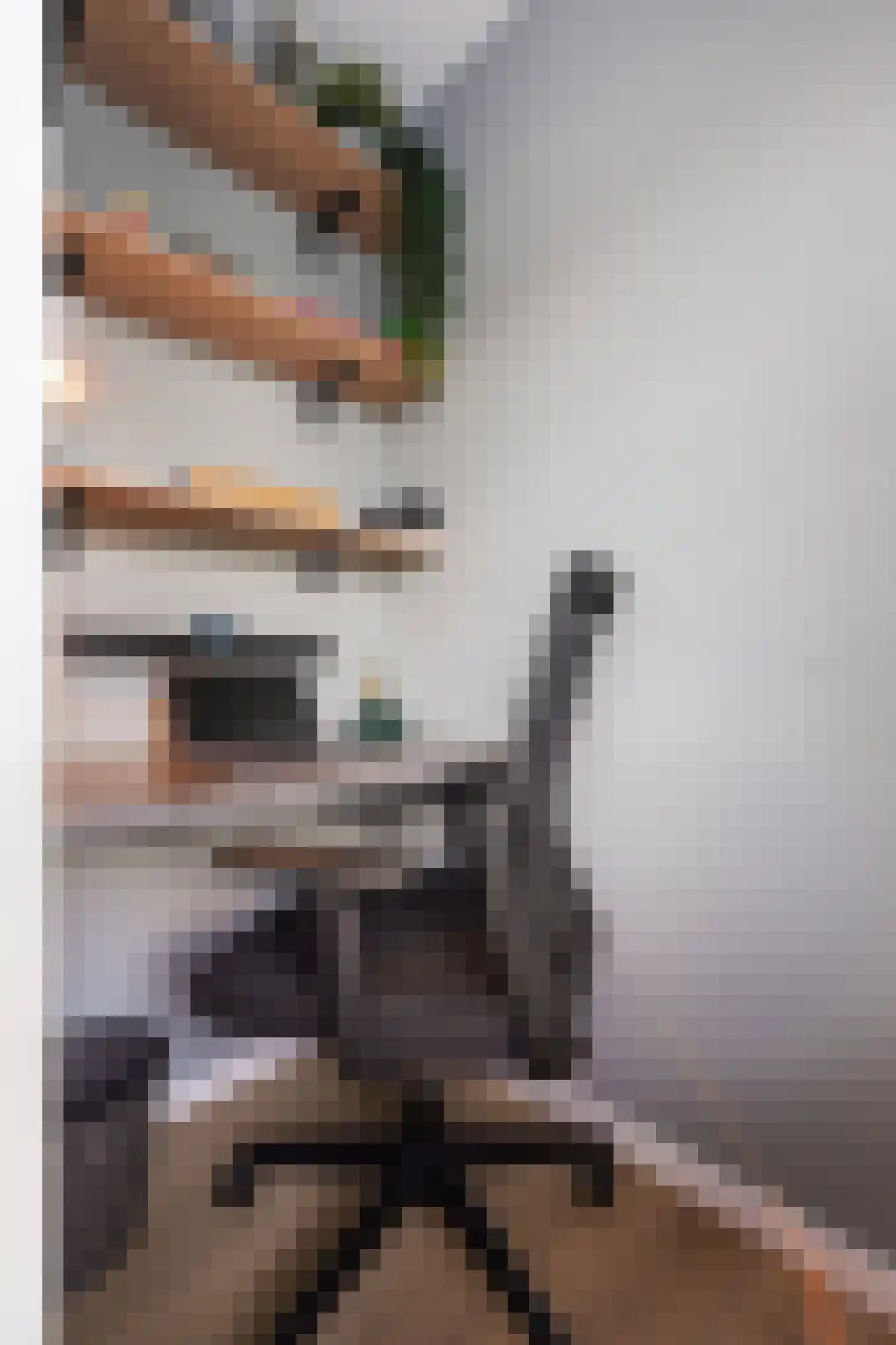 Villa Fonteinkruid 4 Waalwijk thumbnail 32