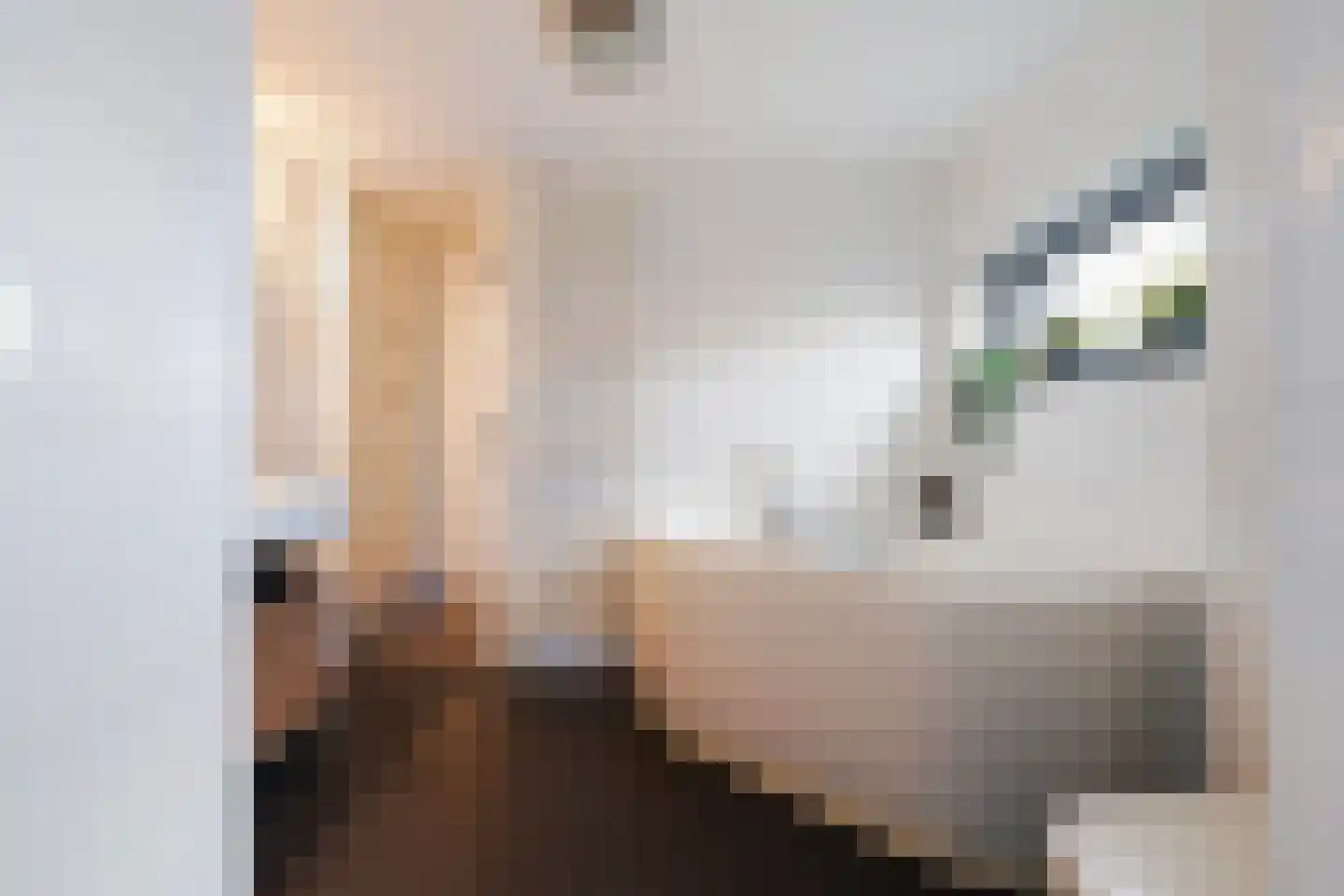 Villa Fonteinkruid 4 Waalwijk thumbnail 34