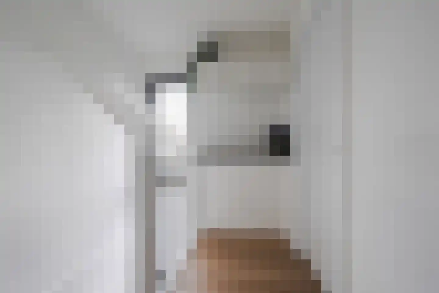 Villa Fonteinkruid 4 Waalwijk thumbnail 38