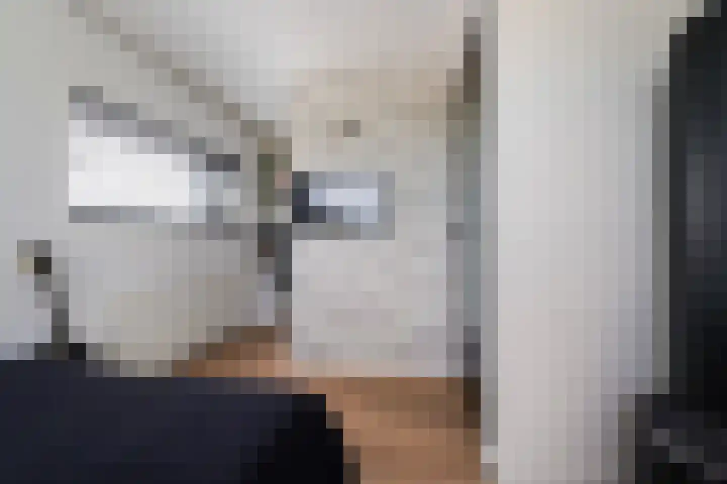 Villa Fonteinkruid 4 Waalwijk thumbnail 41