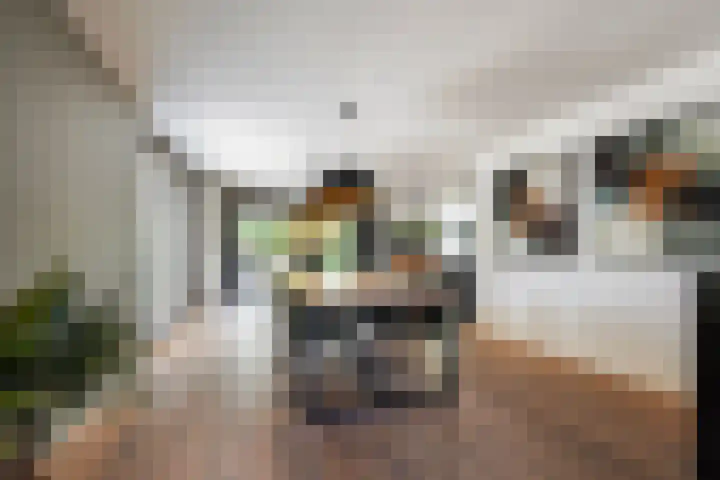 Villa Fonteinkruid 4 Waalwijk thumbnail 6